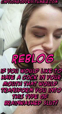 Main content: reblog